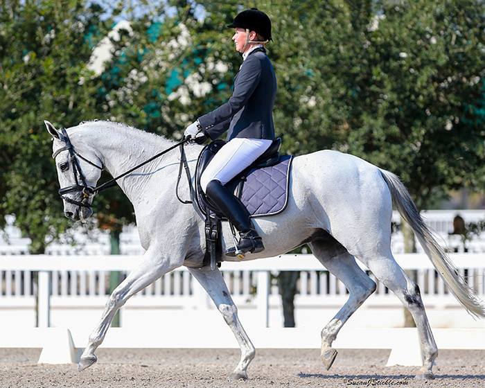 Whispering Farms - Eventing Horses